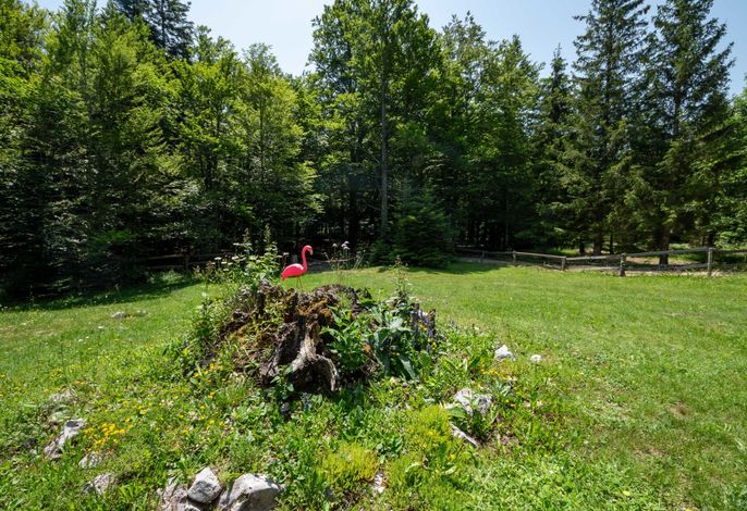 Bild 16