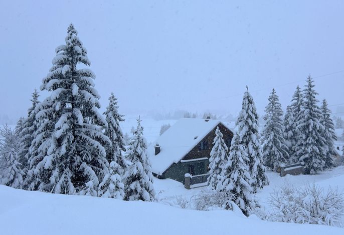 Bild 19