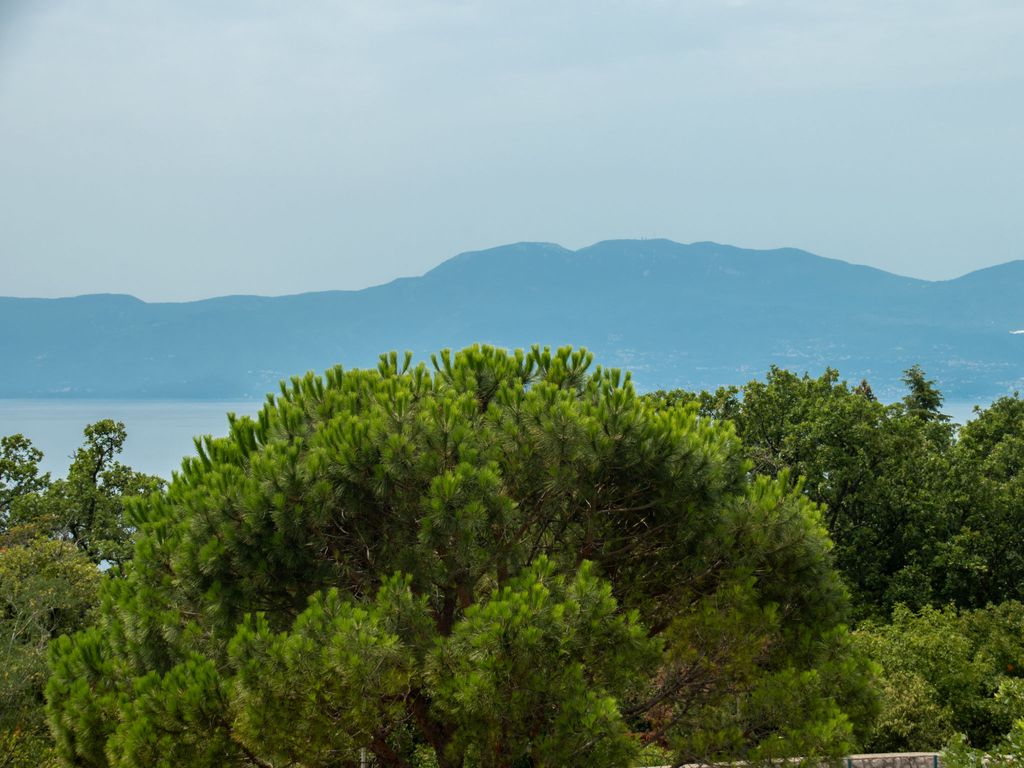 Oliva
