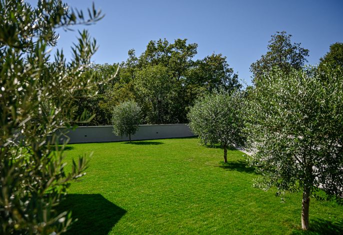 Bild 18