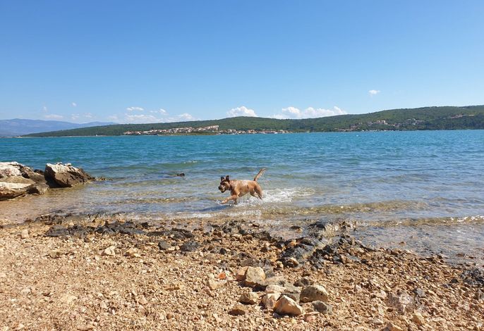 Bild 17