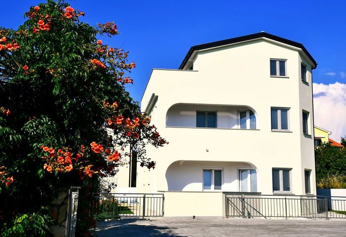 Bild 7