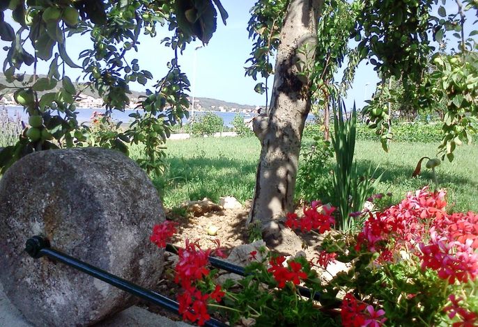 Bild 9