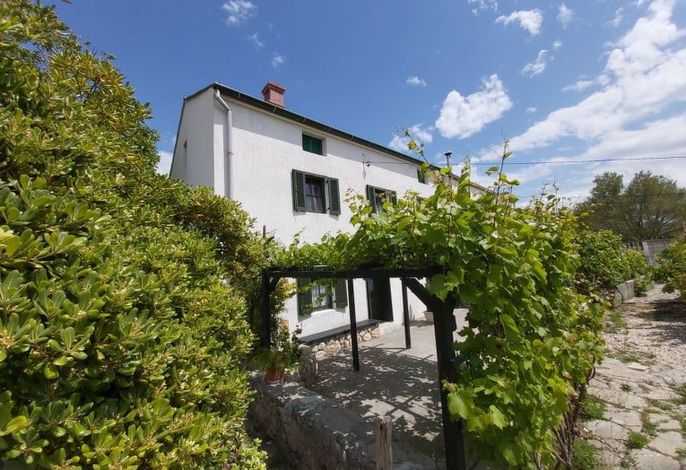 Bild 14