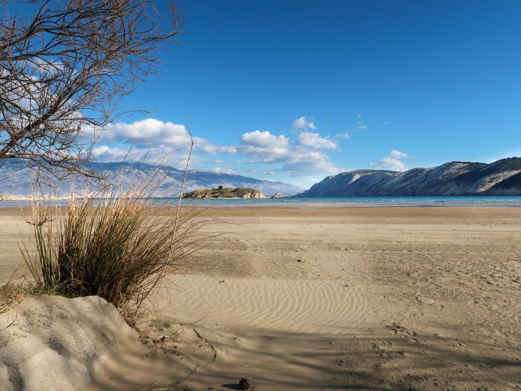 Zora