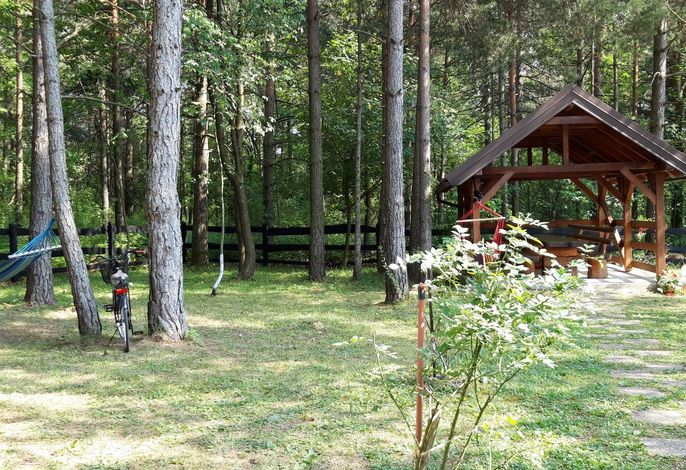 Bild 11