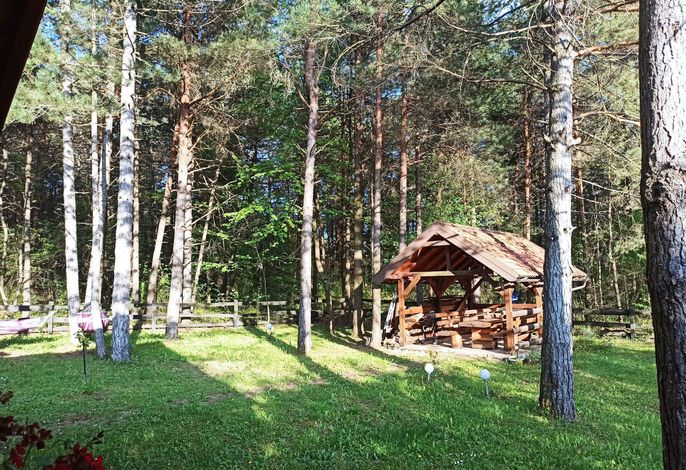 Bild 18