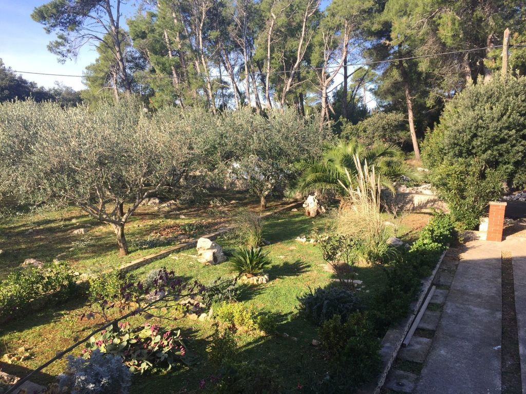 Geräumige Ferienwohnung mit schönem Garten