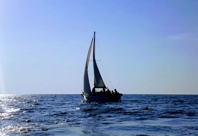 Bild 14