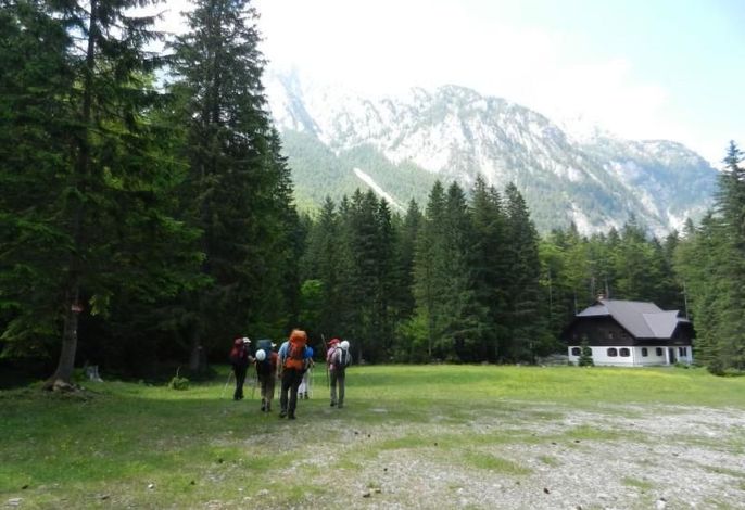 Bild 15