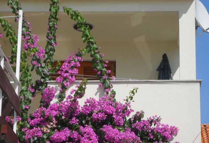 Große Ferienwohnung in Zadar mit Privatem Balkon – Foto 4