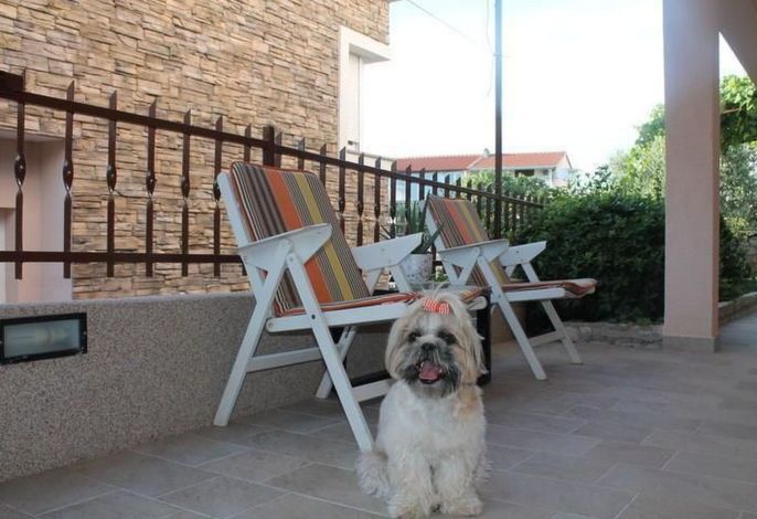 Bild 14