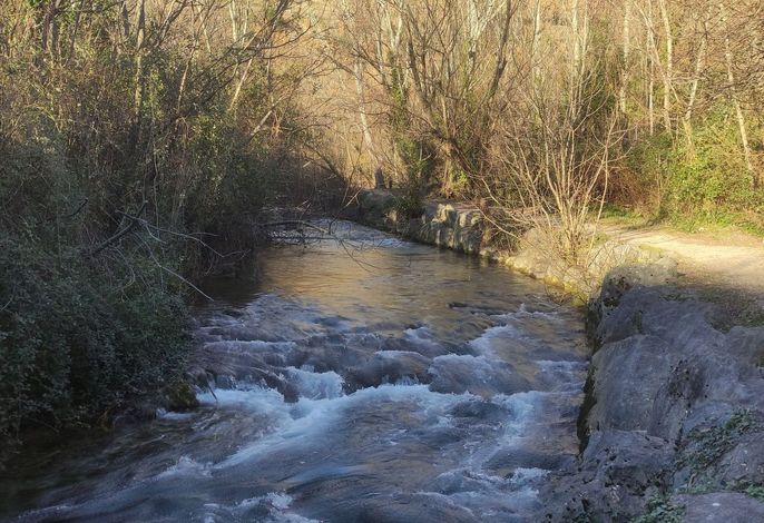 Bild 17