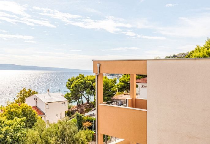 Apartmani STANIĆ - apt. A2 "Olive tree"