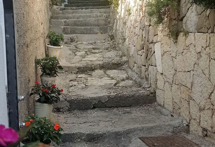 Lara – Foto 4