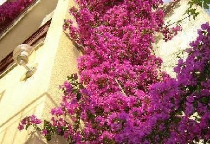 Hauptbild