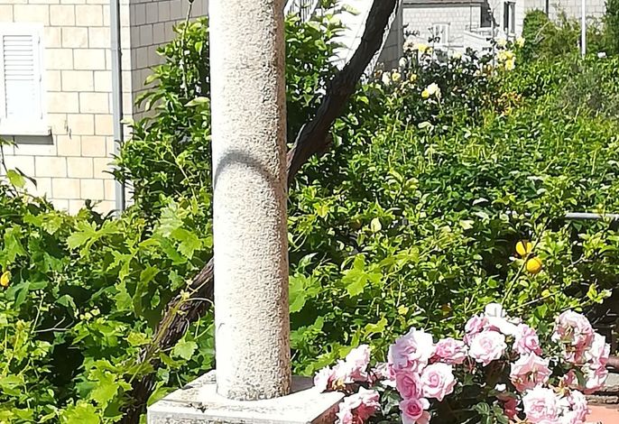 Bild 13