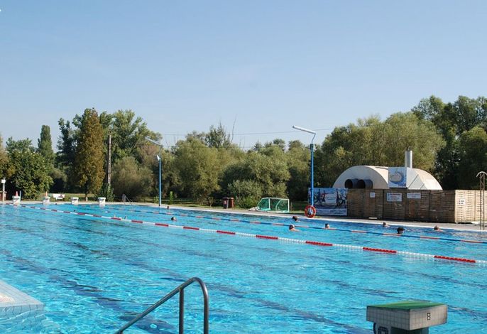 Bild 15