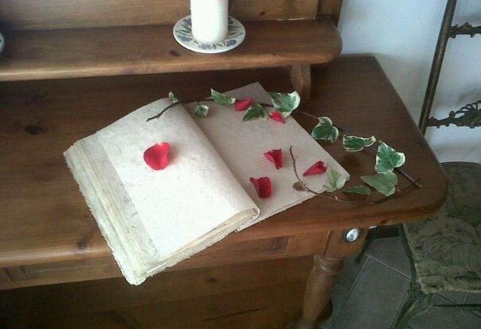 Bild 16