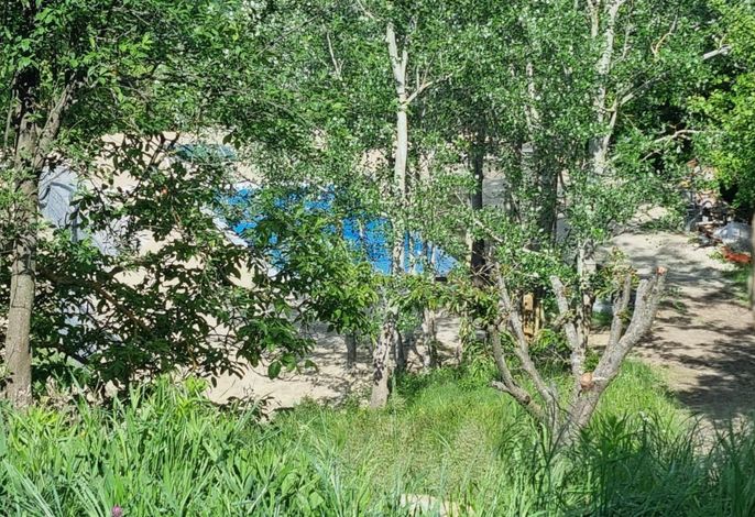 Bild 41