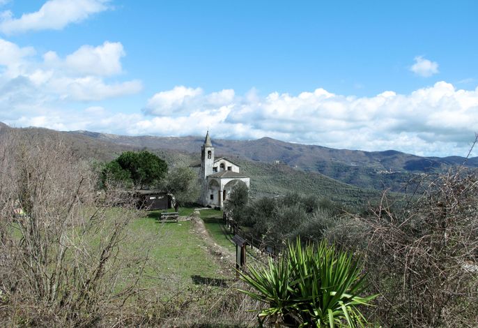 Bild 14