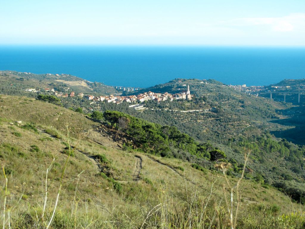 Olive Lodge