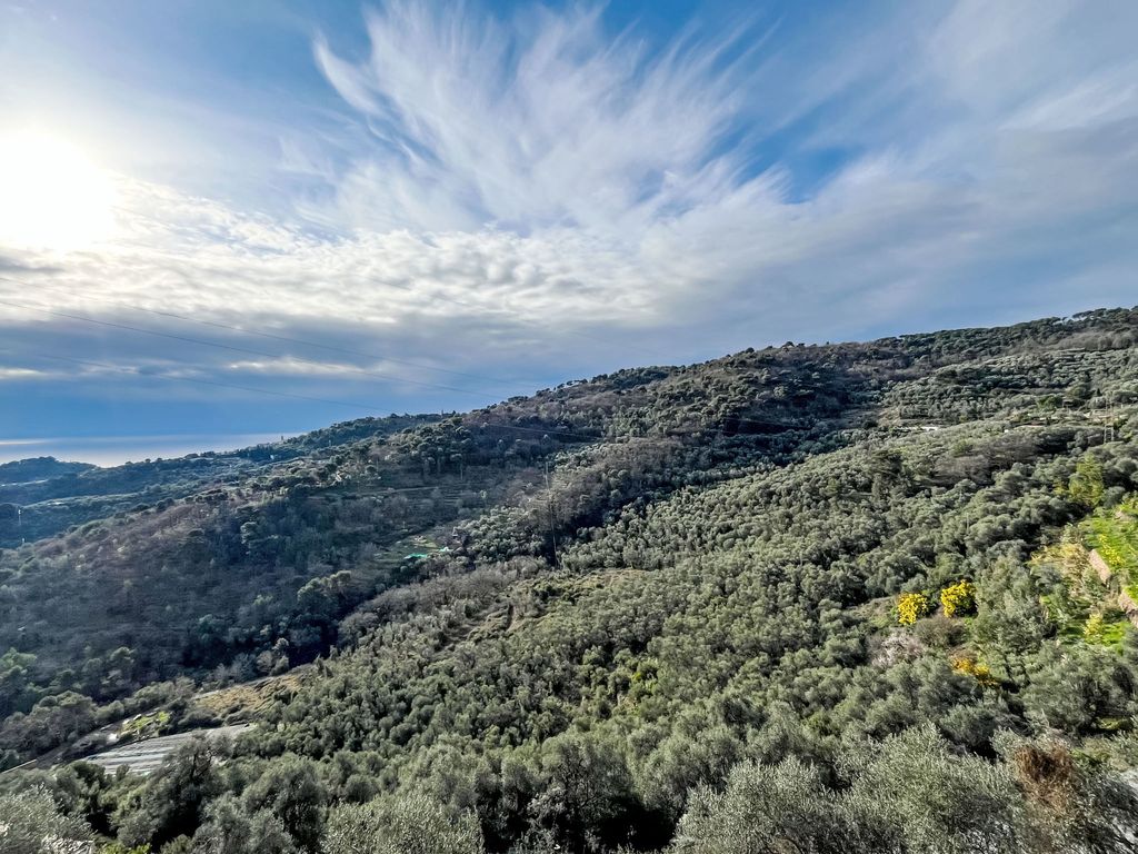 Cà Ninin de Bernà
