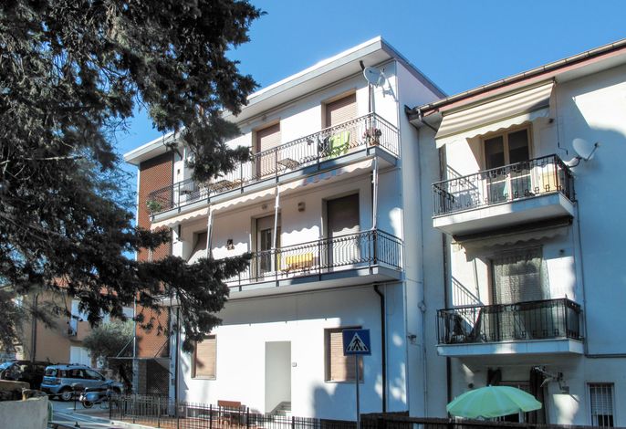 Cipressi