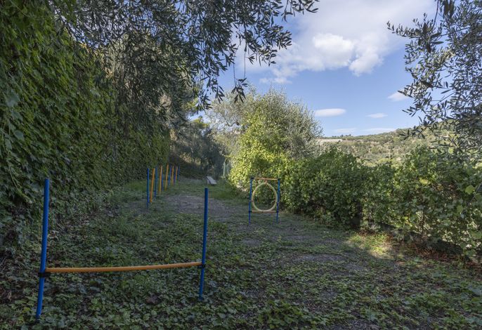 Bild 16