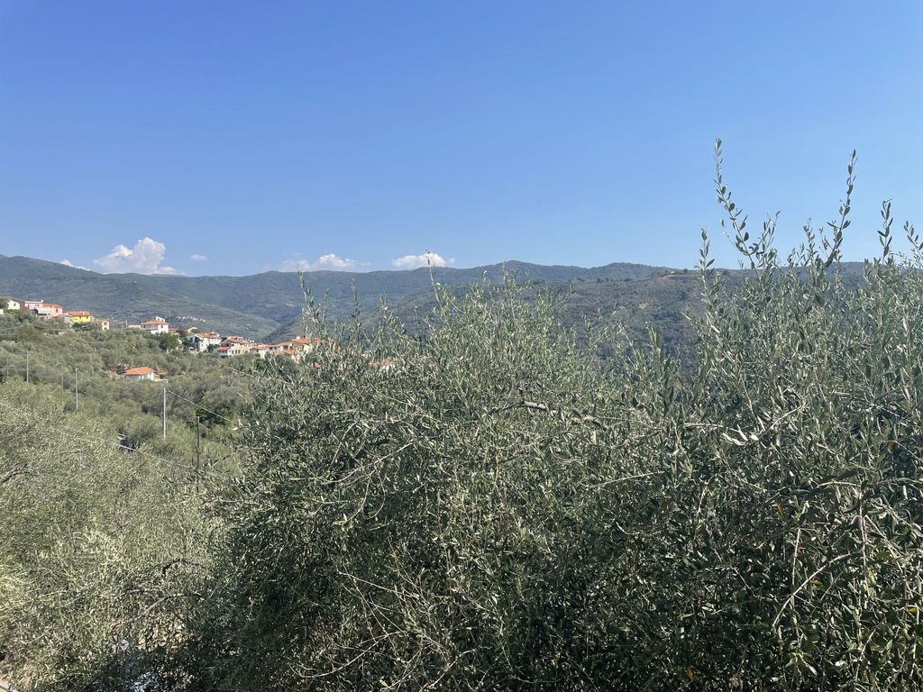 Casa Maria (DOL135)