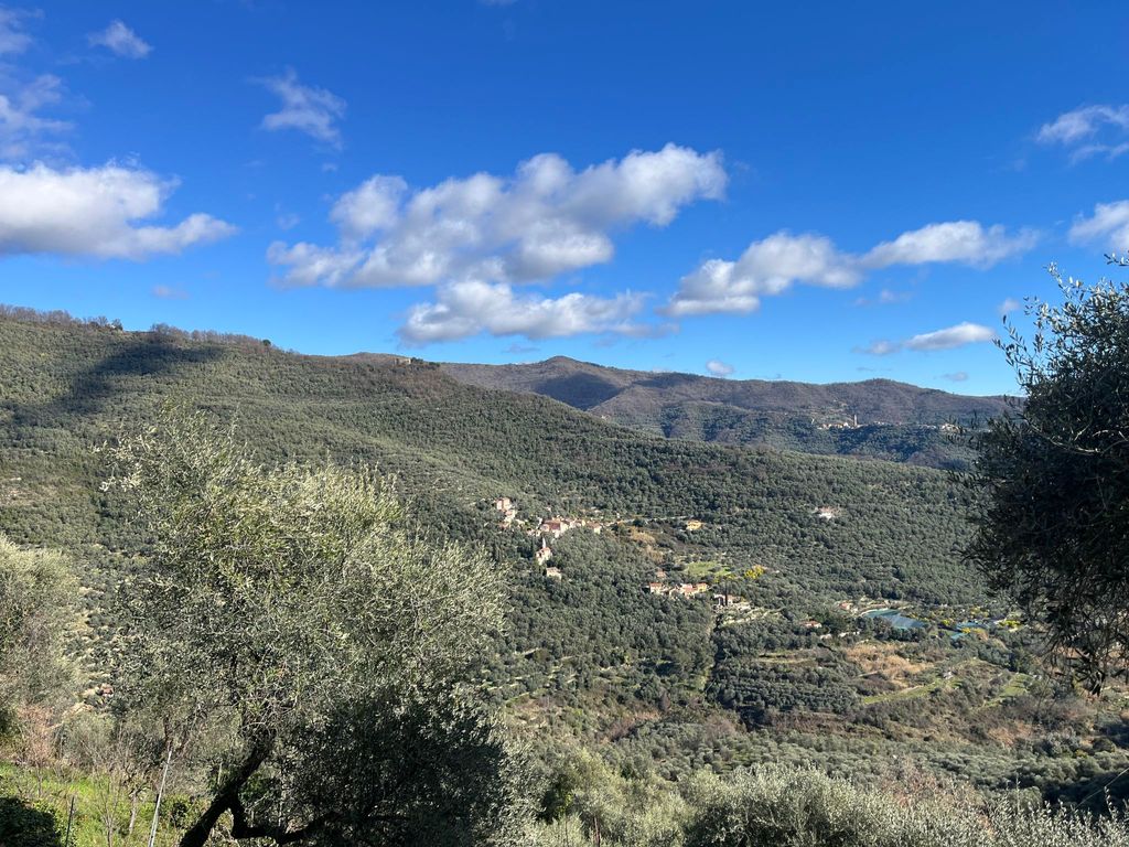 Superba Vista