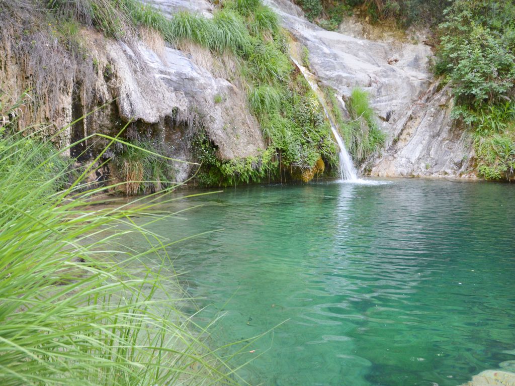 Superba Vista