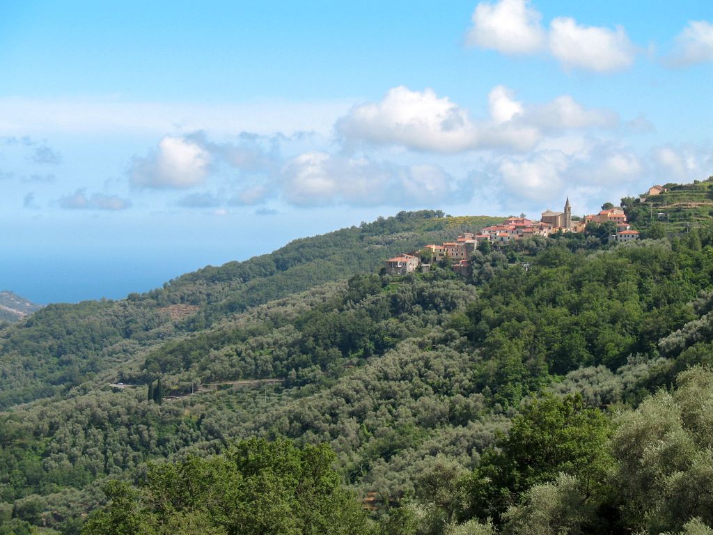 Superba Vista