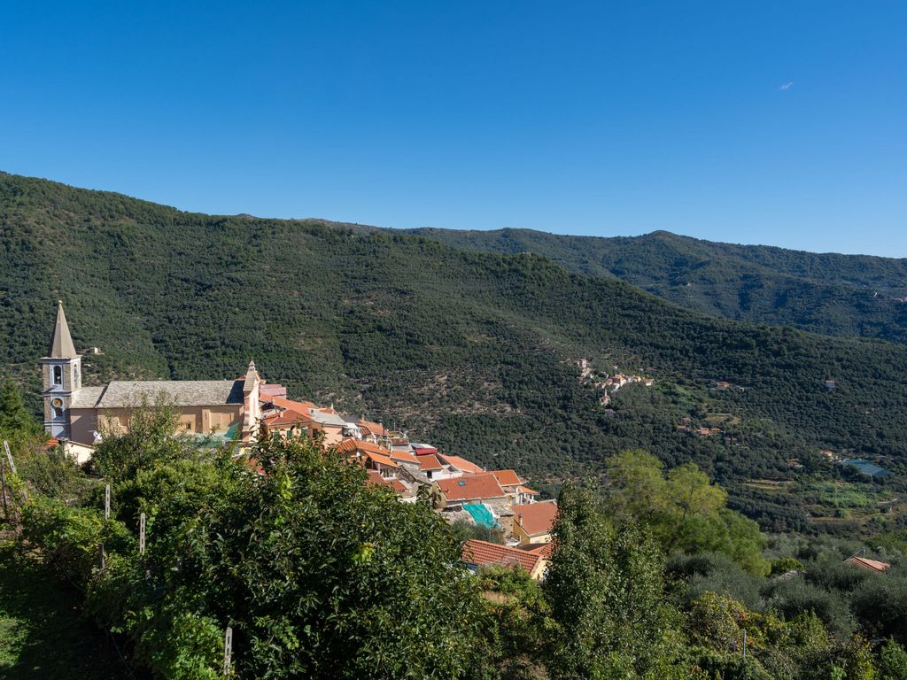 Superba Vista