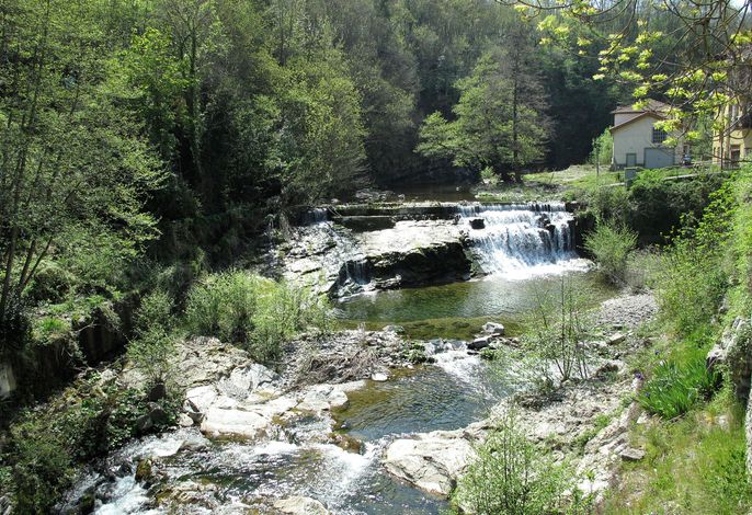 Bild 7