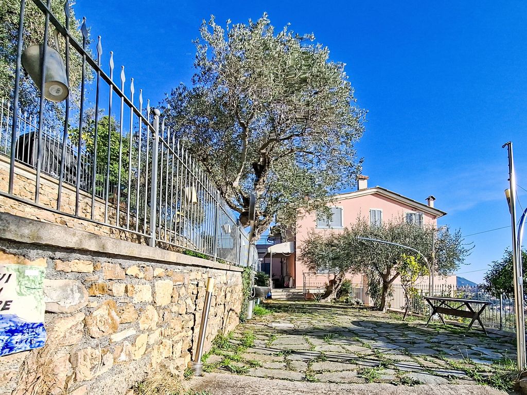 Ulivi sul Mare