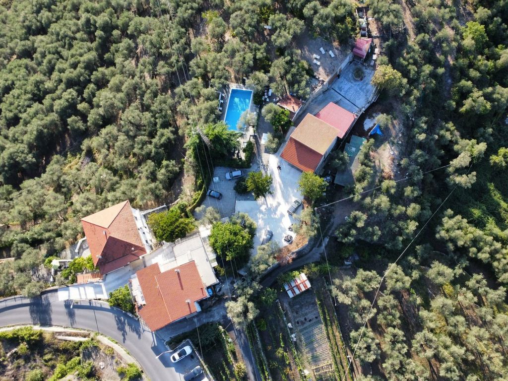 Ulivo