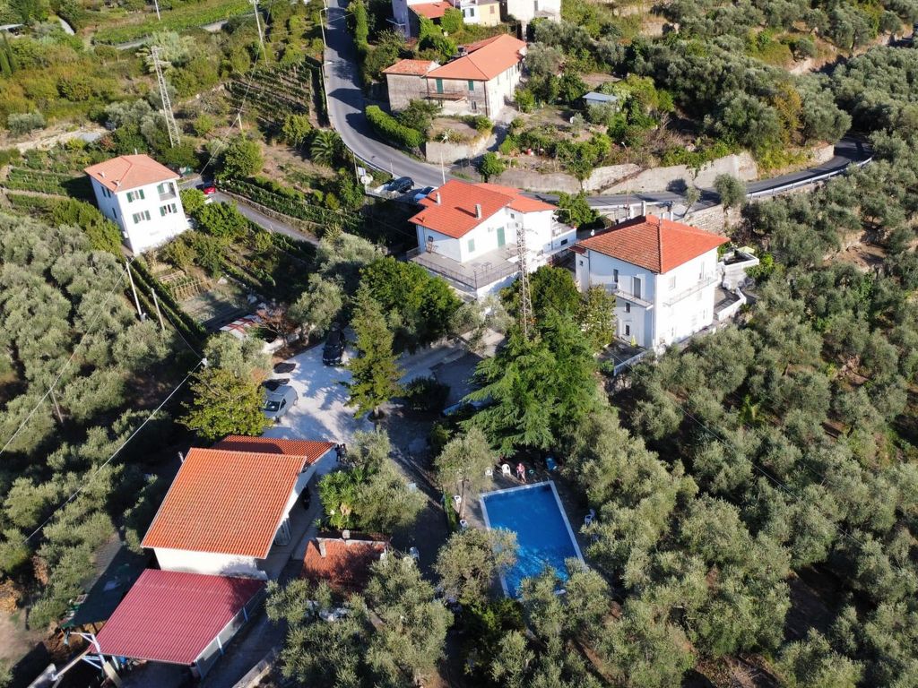 Ulivo