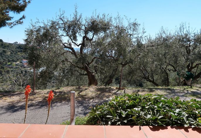 Bild 12