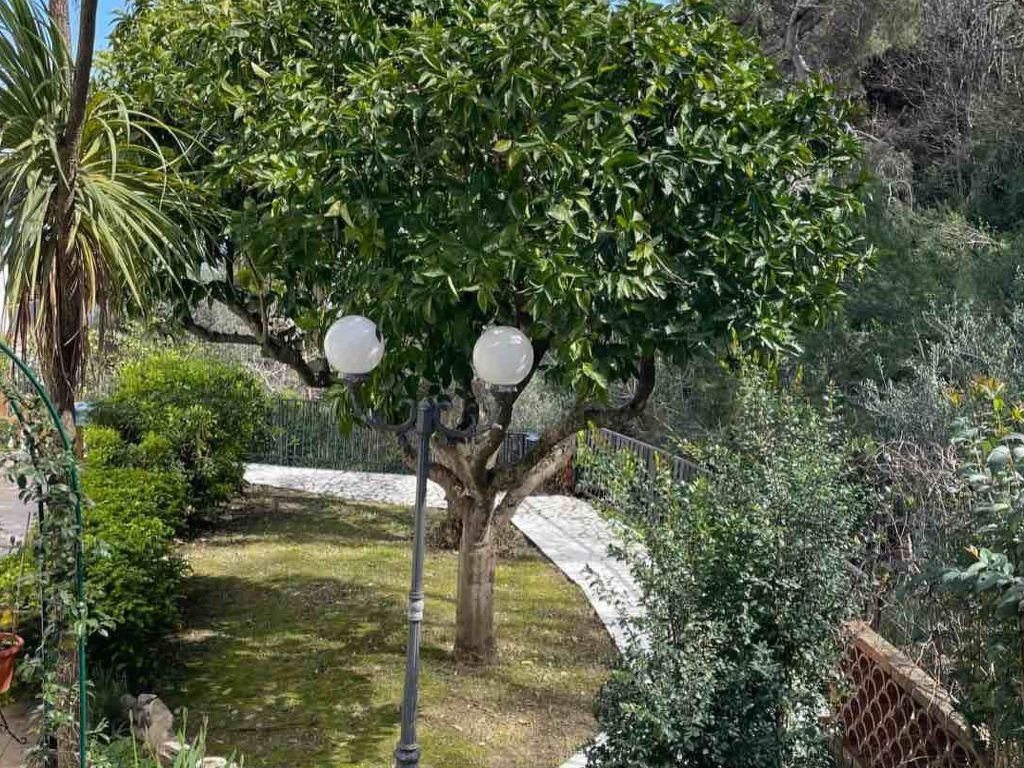 Junges Haus' Wohnung mit Wasserblick