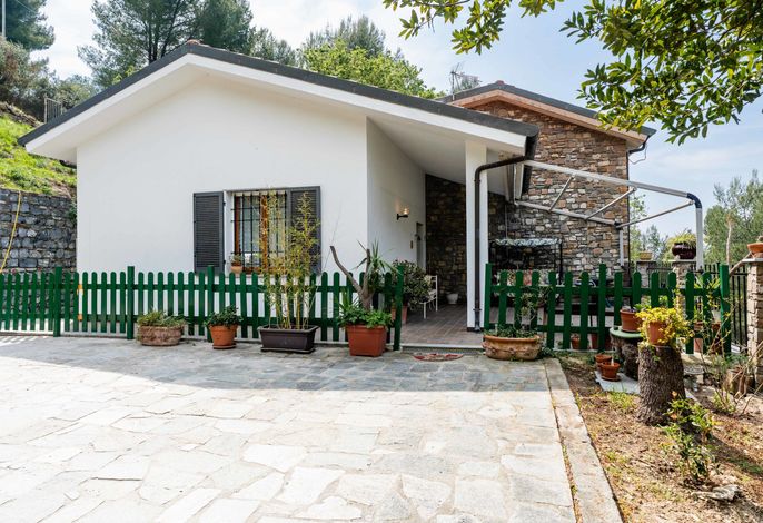 Bild 9