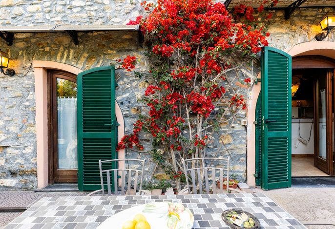 La Bouganville - Rustico con giardino