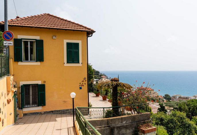 Belvedere Blu