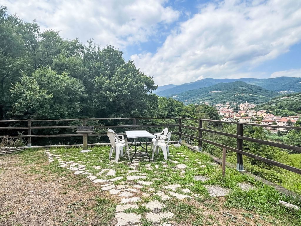 Le radici dell´ulivo