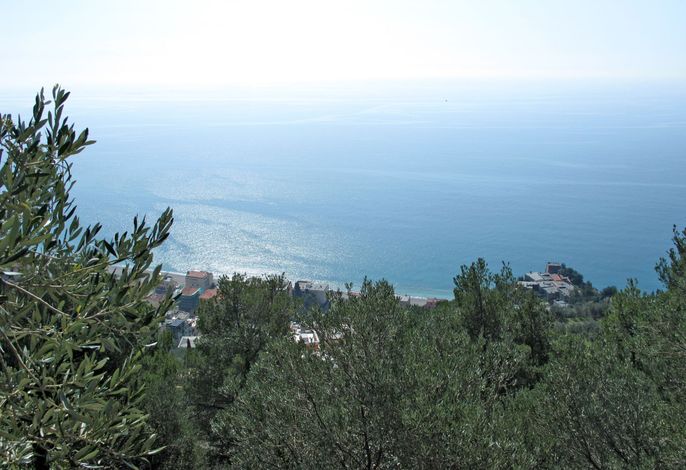 Bild 10