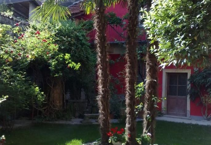 Bild 11