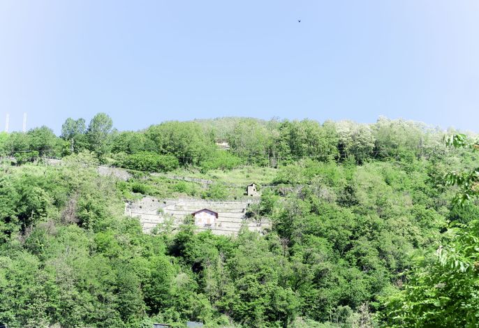 Bild 14
