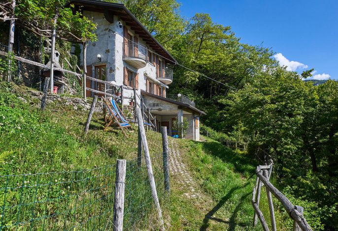 Bild 8