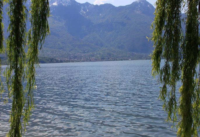 Bild 38