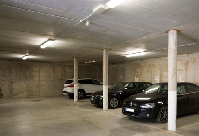 Bild 7